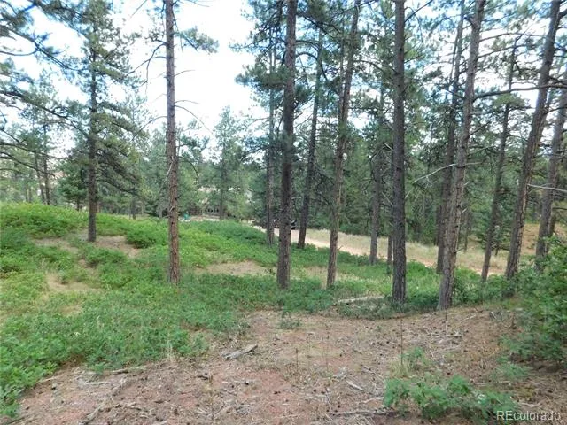 8055 Acoma Drive Larkspur, CO 80118