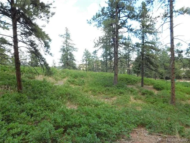 8055 Acoma Drive Larkspur, CO 80118