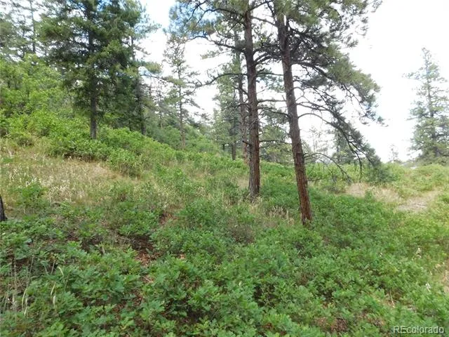 8055 Acoma Drive Larkspur, CO 80118