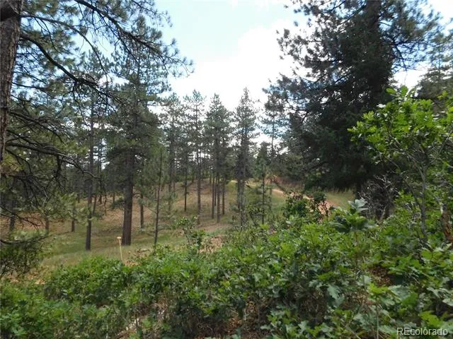 8055 Acoma Drive Larkspur, CO 80118