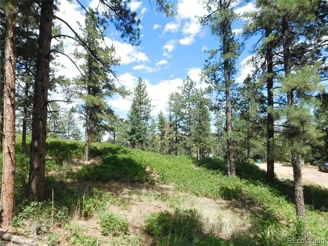 8055 Acoma Drive Larkspur, CO 80118