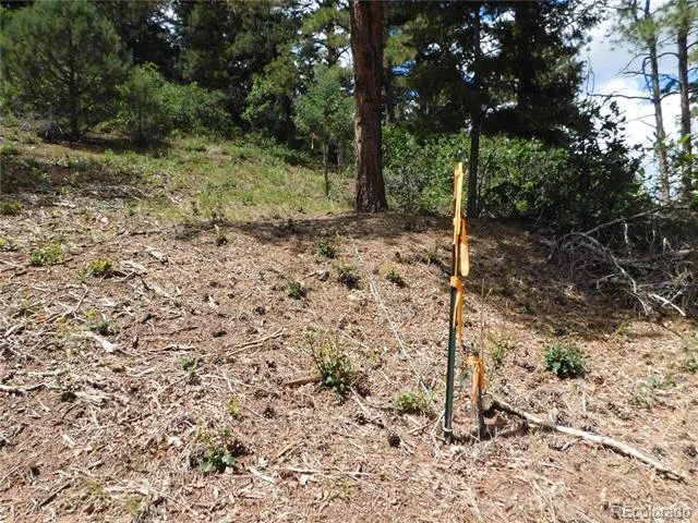 8055 Acoma Drive Larkspur, CO 80118