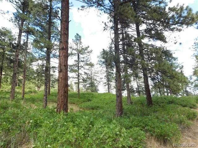 8055 Acoma Drive Larkspur, CO 80118
