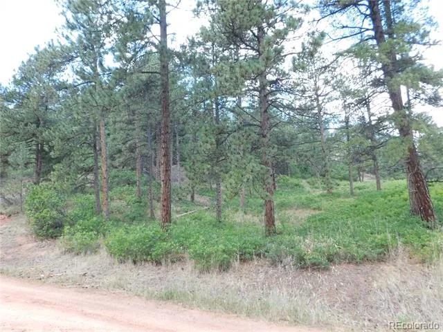8055 Acoma Drive Larkspur, CO 80118