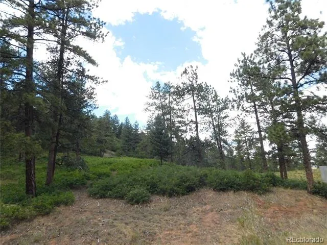 8055 Acoma Drive Larkspur, CO 80118
