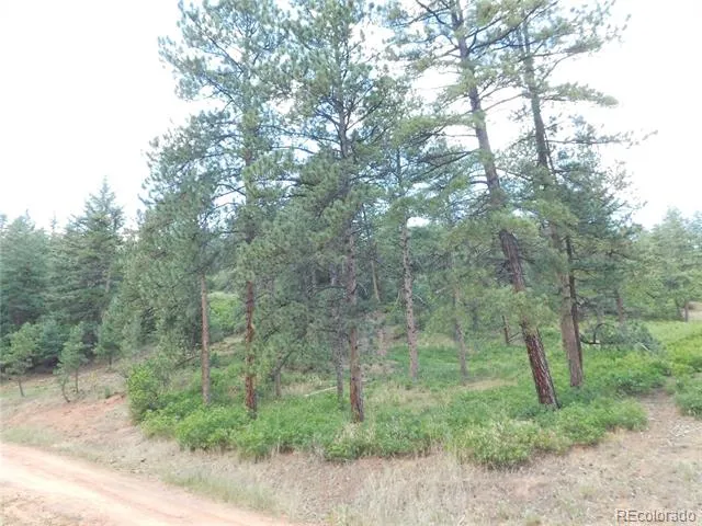 8055 Acoma Drive Larkspur, CO 80118