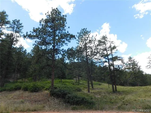 8055 Acoma Drive Larkspur, CO 80118