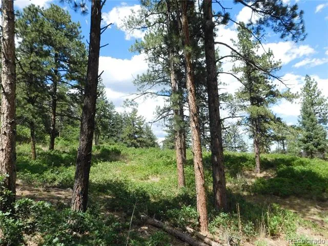 8055 Acoma Drive Larkspur, CO 80118