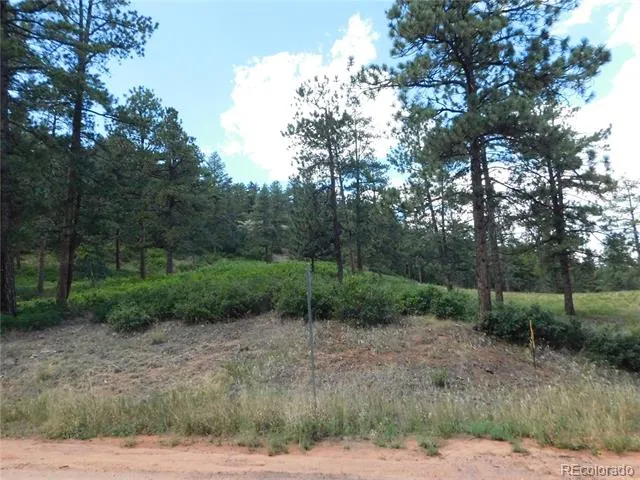8055 Acoma Drive Larkspur, CO 80118