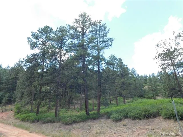 8055 Acoma Drive Larkspur, CO 80118