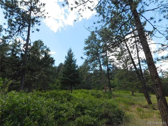 8055 Acoma Drive Larkspur, CO 80118