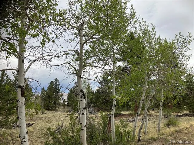 256 Bandana Road Hartsel, CO 80449