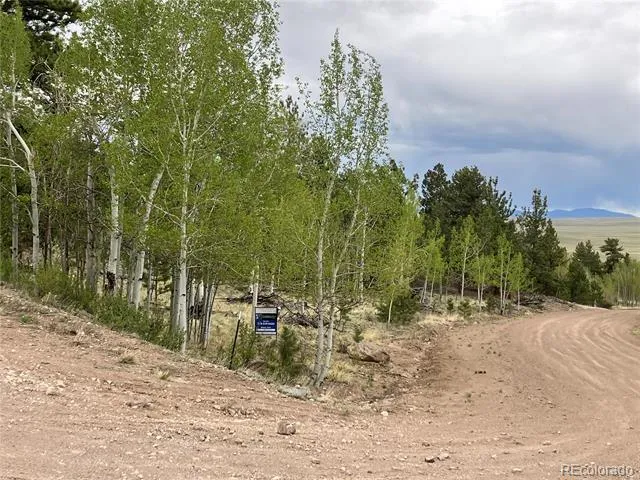256 Bandana Road Hartsel, CO 80449