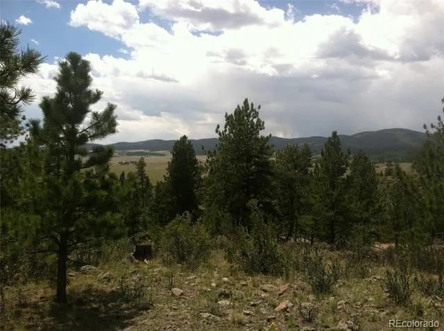 256 Bandana Road Hartsel, CO 80449