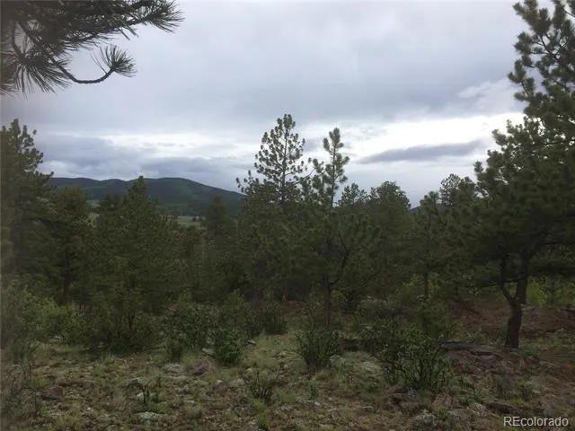 256 Bandana Road Hartsel, CO 80449