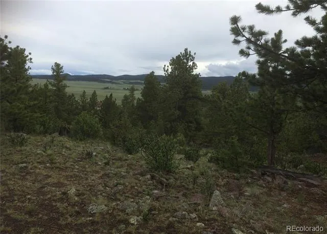 256 Bandana Road Hartsel, CO 80449