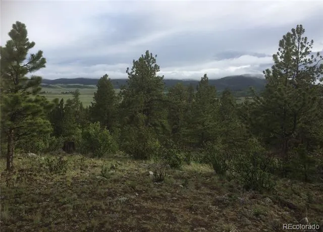 256 Bandana Road Hartsel, CO 80449