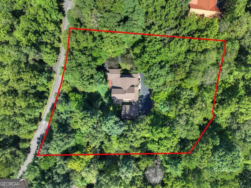 2975 Mountain Tops RD Blue Ridge, GA 30513