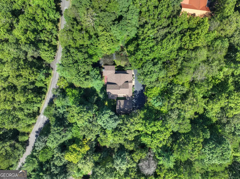 2975 Mountain Tops RD Blue Ridge, GA 30513
