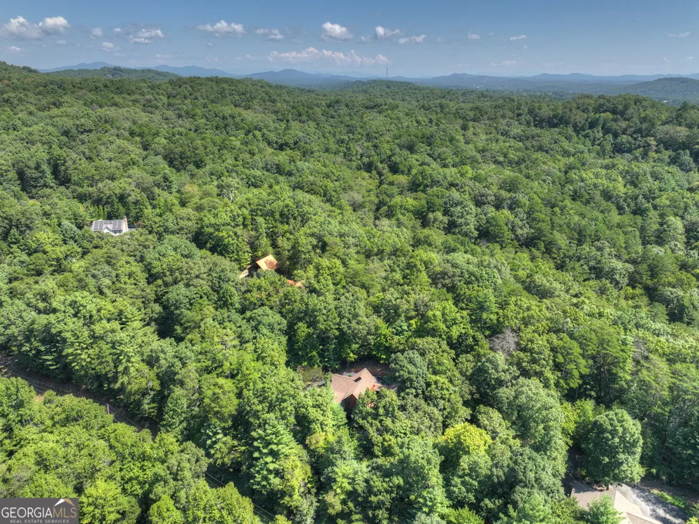 2975 Mountain Tops RD Blue Ridge, GA 30513