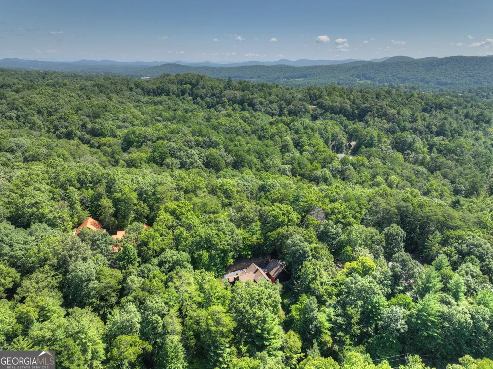 2975 Mountain Tops RD Blue Ridge, GA 30513