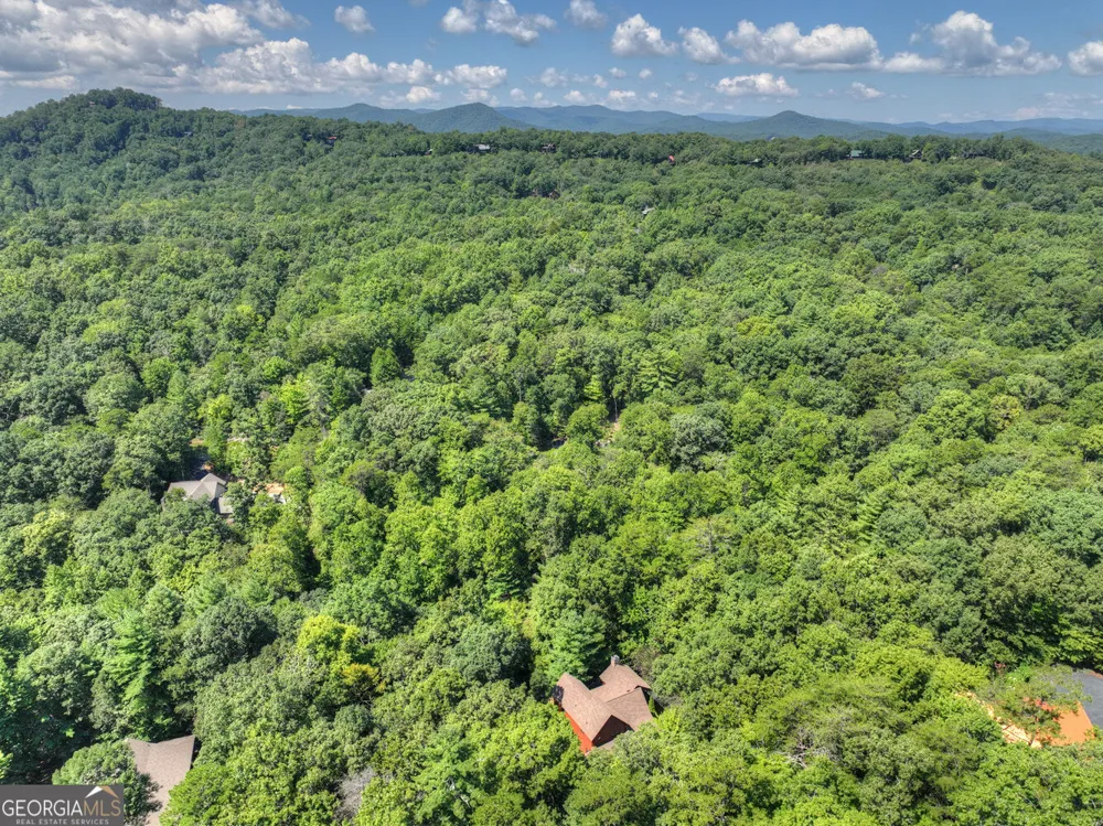 2975 Mountain Tops RD Blue Ridge, GA 30513