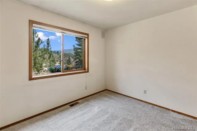 821 Red Eagle Court Woodland Park, CO 80863