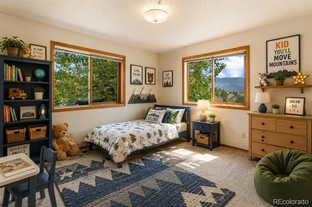 821 Red Eagle Court Woodland Park, CO 80863
