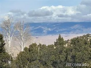 Unit 2 Tract 5 Zapata Mosca, CO 81146