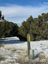 Unit 2 Tract 5 Zapata Mosca, CO 81146