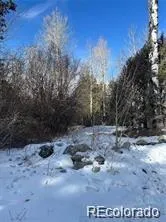 Unit 2 Tract 5 Zapata Mosca, CO 81146