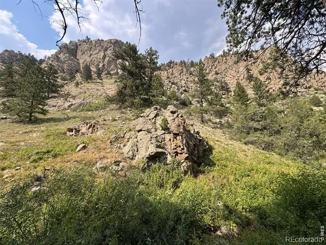 524 Jackelope Lane Livermore, CO 80536