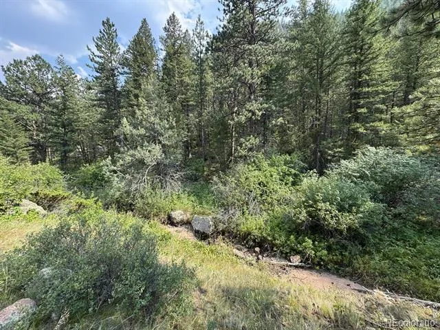 524 Jackelope Lane Livermore, CO 80536