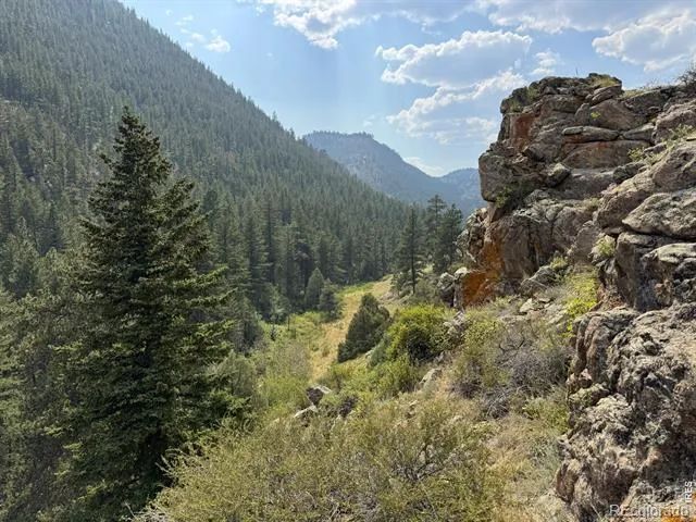 524 Jackelope Lane Livermore, CO 80536