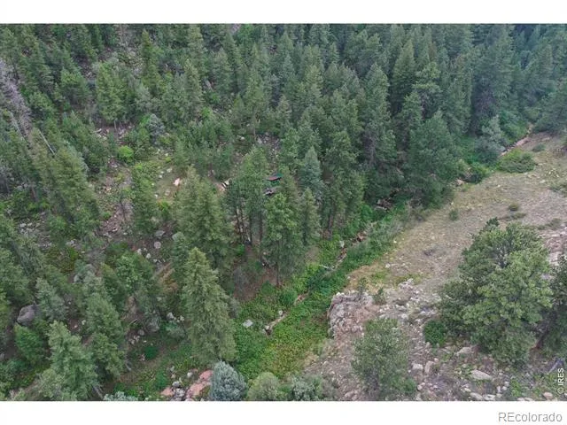 524 Jackelope Lane Livermore, CO 80536