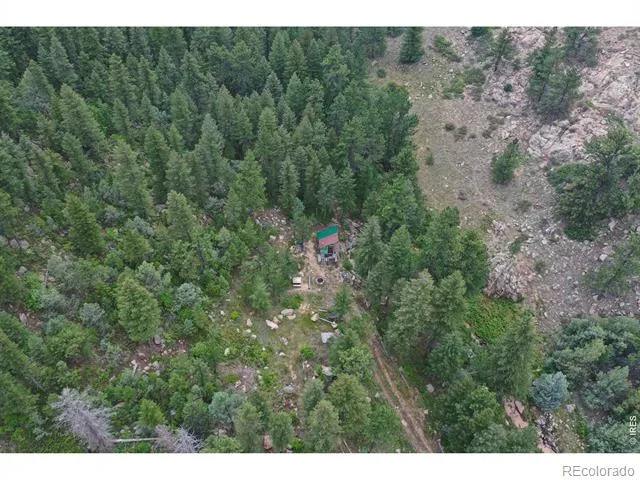524 Jackelope Lane Livermore, CO 80536
