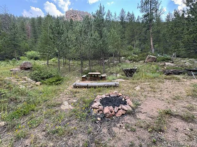 524 Jackelope Lane Livermore, CO 80536