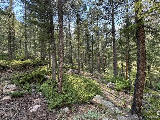 524 Jackelope Lane Livermore, CO 80536