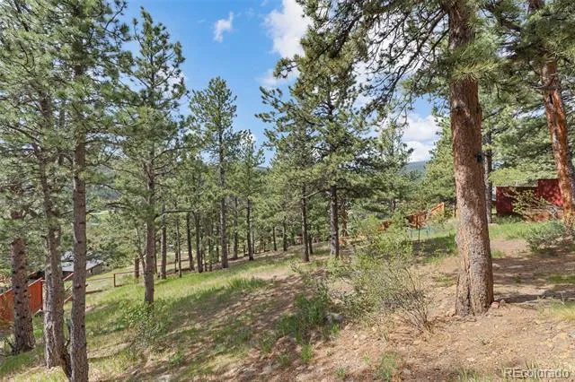 2 King Place Nederland, CO 80466