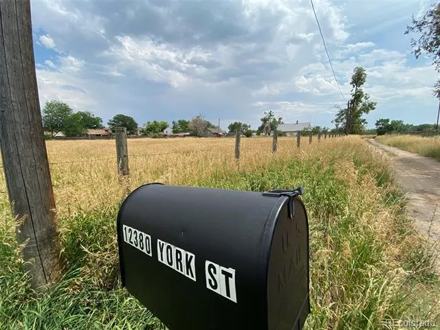 12380 York Street Thornton, CO 80241
