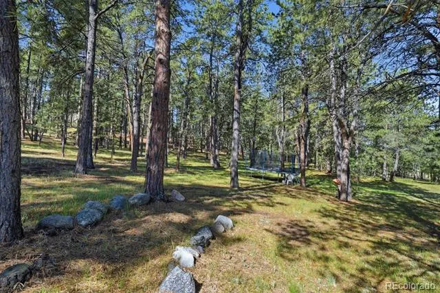 20470 Lockridge Drive Colorado Springs, CO 80908