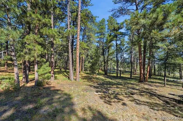 20470 Lockridge Drive Colorado Springs, CO 80908