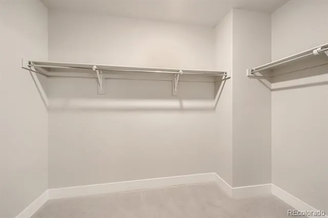 20 Wilcox Street #316 Castle Rock, CO 80104