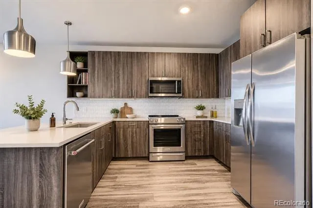 20 Wilcox Street #316 Castle Rock, CO 80104