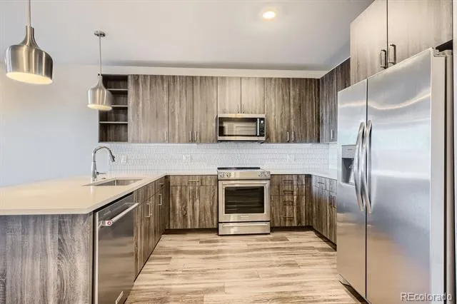 20 Wilcox Street #316 Castle Rock, CO 80104