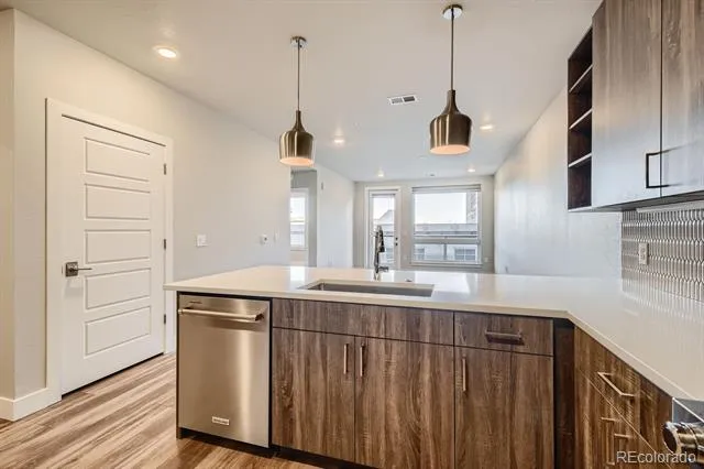 20 Wilcox Street #316 Castle Rock, CO 80104