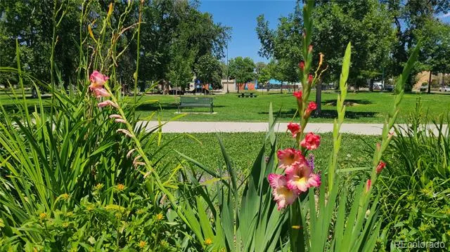 3032 Champa Street Denver, CO 80205