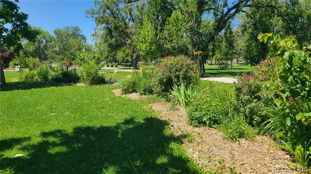 3032 Champa Street Denver, CO 80205