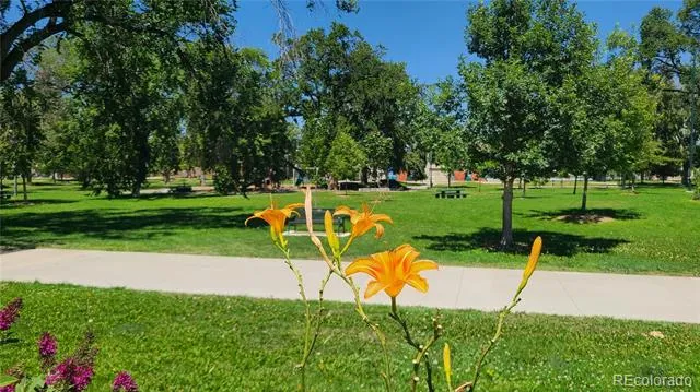 3032 Champa Street Denver, CO 80205