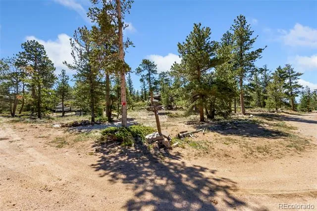 11 Inca Court Red Feather Lakes, CO 80545